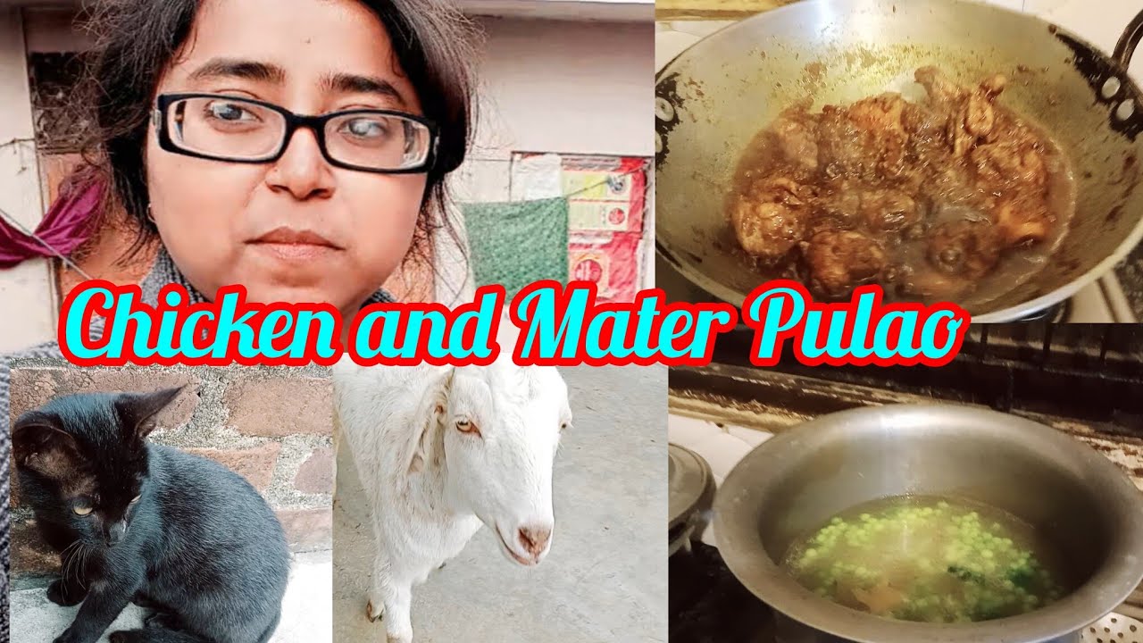 Zabardast Chicken and Mater pulao Recipe yummy and Testy 🤗🤗 