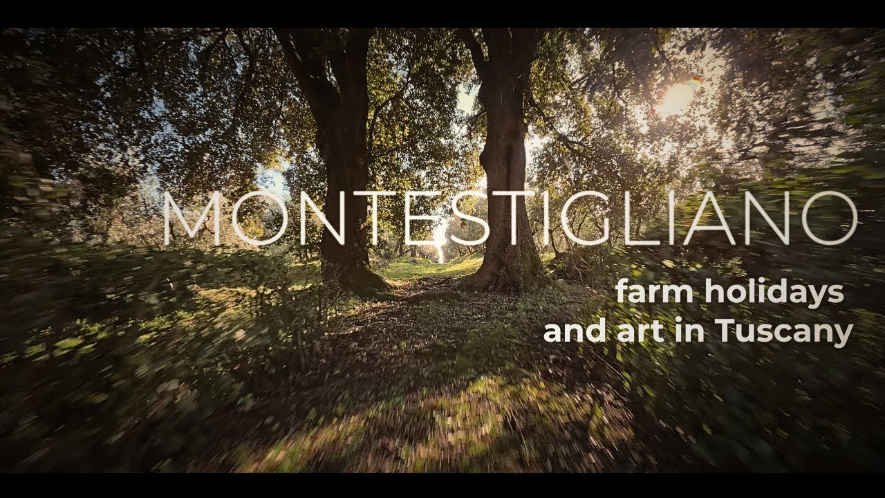 MONTESTIGLIANO (SI) - farm holiday and art in Tuscany