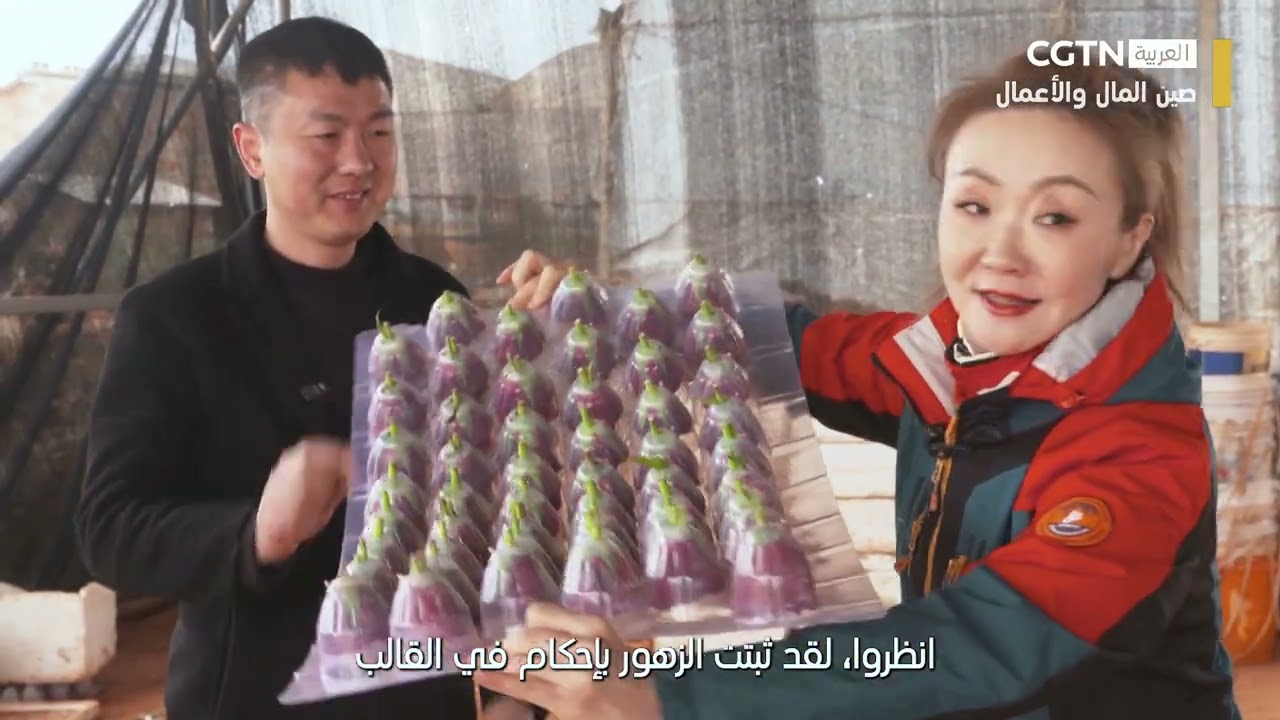 صين المال والأعمال: كيف تصنع الزهور الخالدة؟