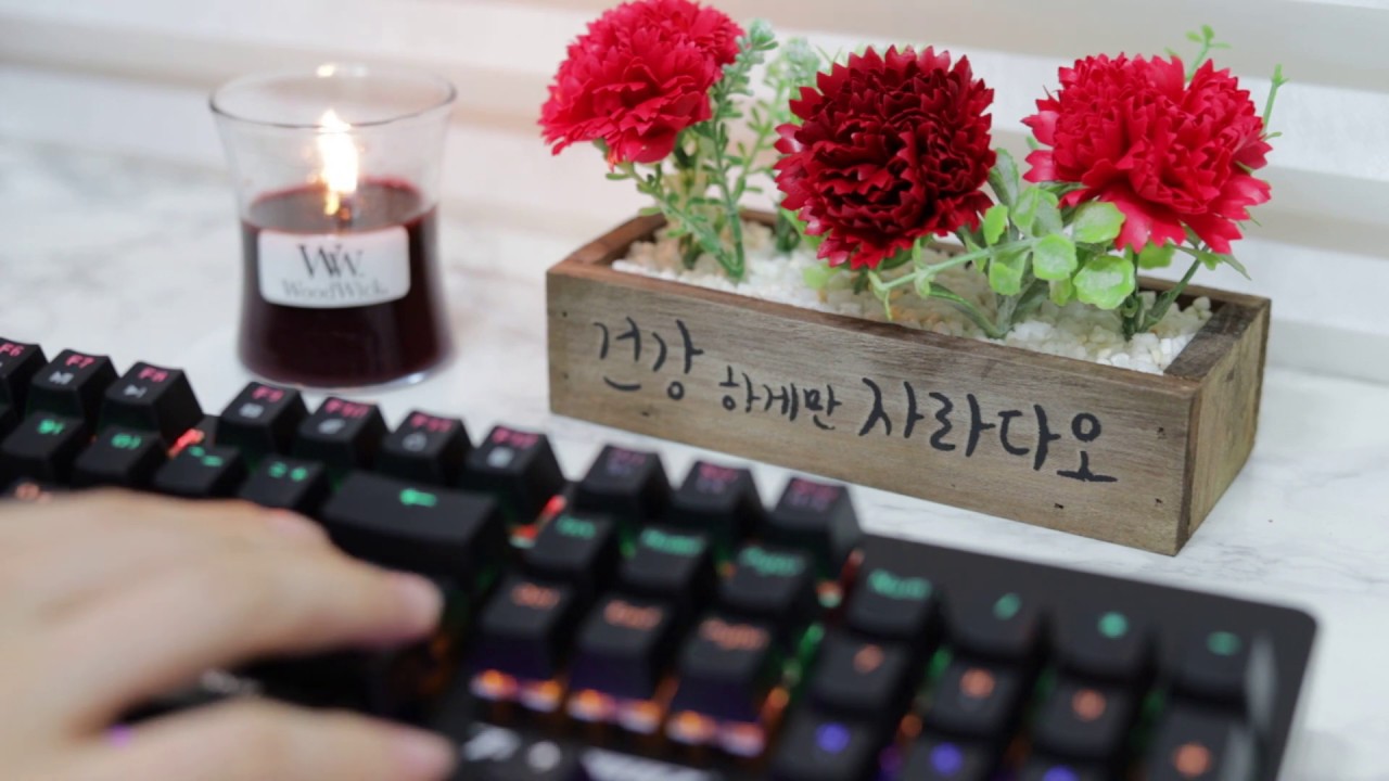 ASMR / 기계식키보드 / 키보드ASMR / 우다다다닥