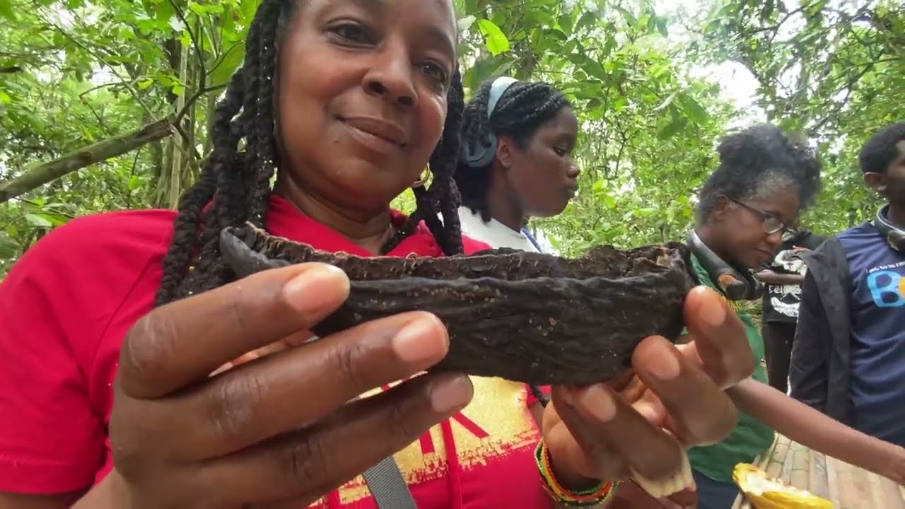 HIM Tours Explores a Cocoa Farm in Ghana 🇬🇭🍫