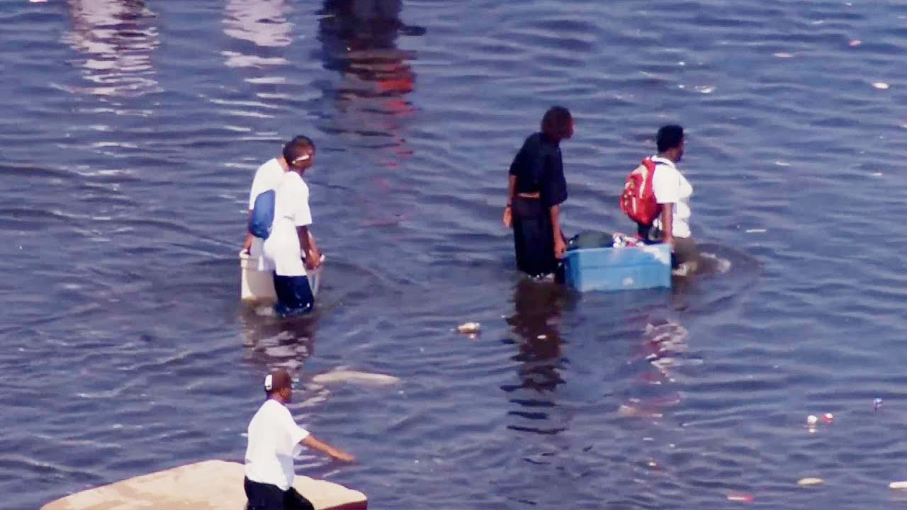 Remembering Hurricane Katrina 20 Years Later