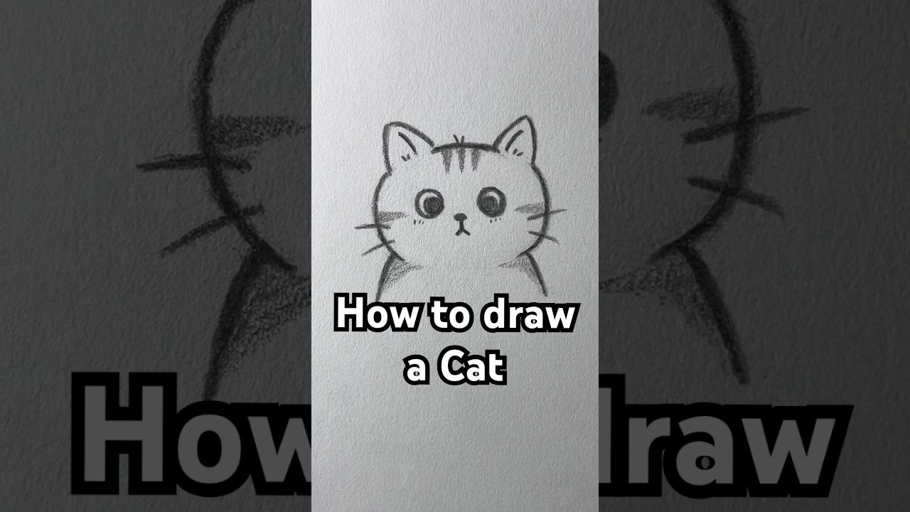 How to draw a cute cat! Easy! #art #drawing #cute #howtodraw