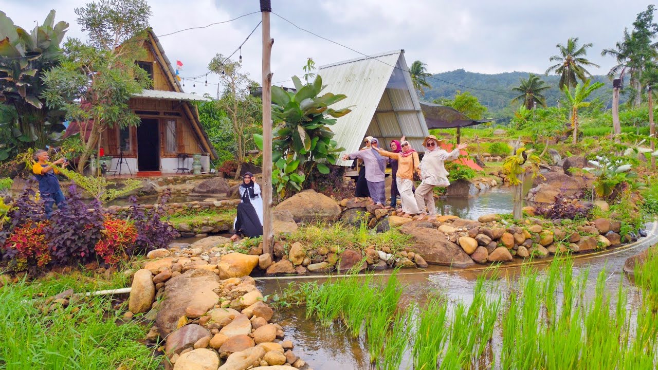 SAUNG SISWARA... A coffee place in the middle of rice fields that makes you feel at home in Purwaka