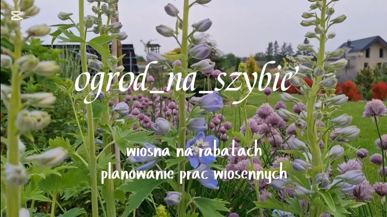 🌷💚Wiosna na rabatach, planowanie prac wiosennych.💚🌷