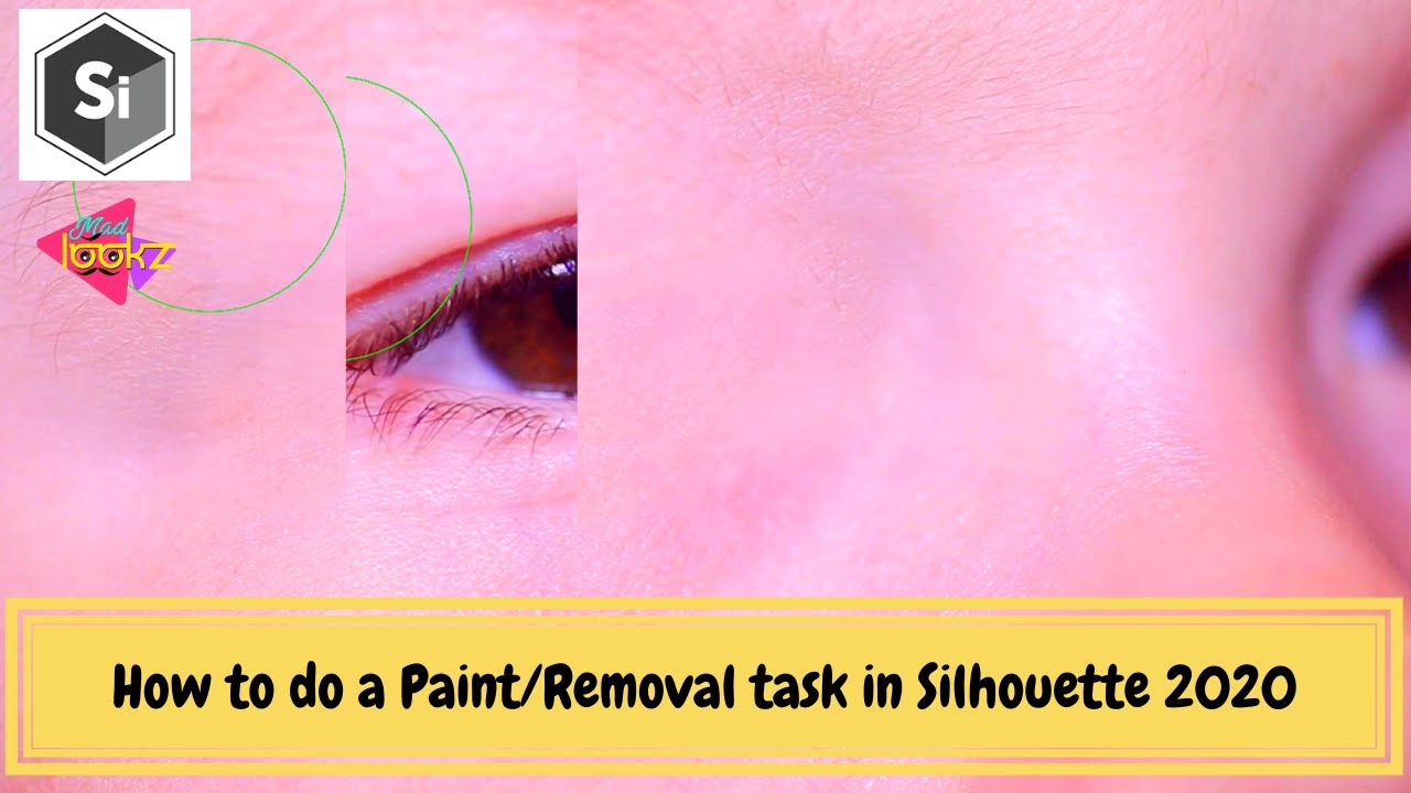 Silhouette tutorial l How to do a Paint/Removal task in Silhouette 2020 l Boris FX Silhouette paint