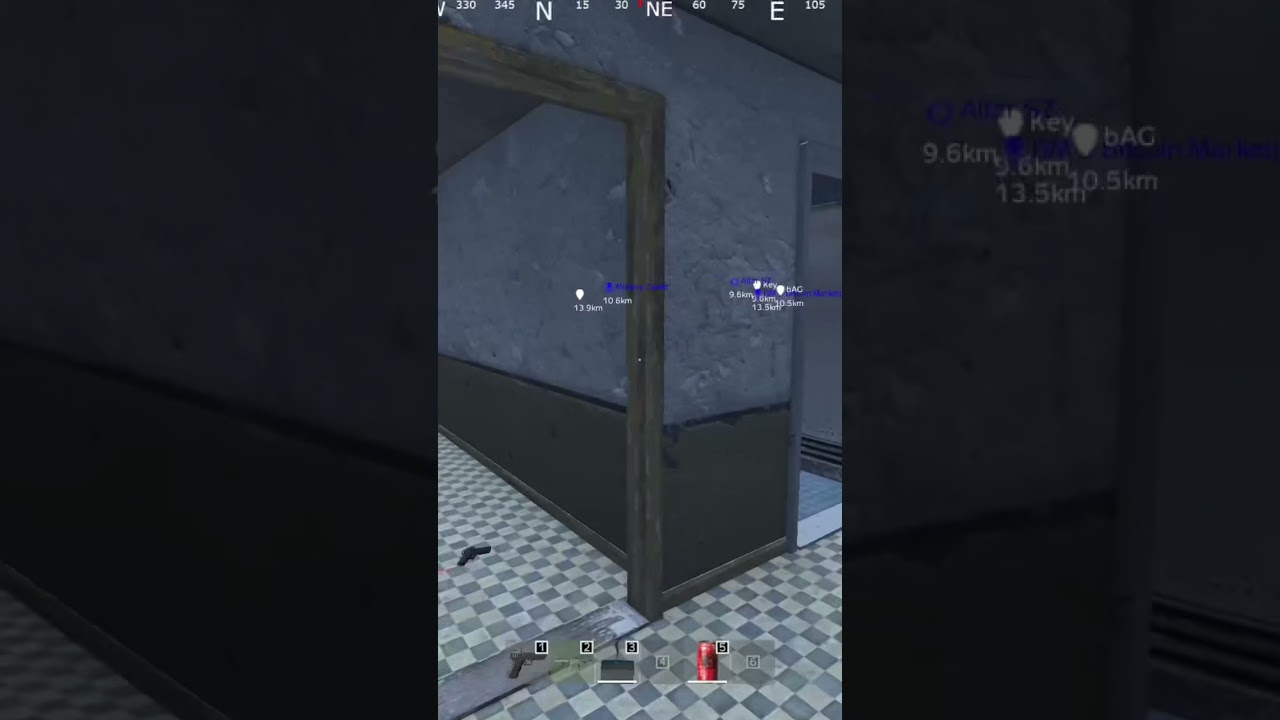 DayZ Romania
