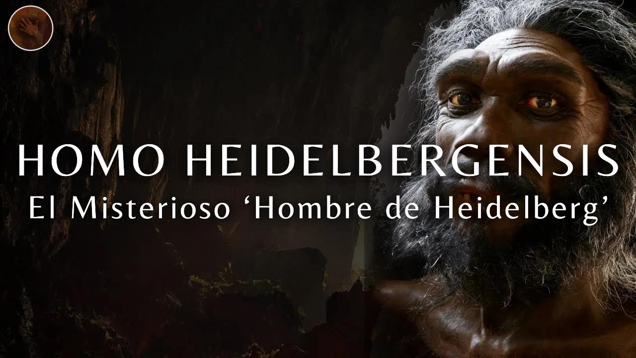 Homo Heidelbergensis: El enigmático 'hombre de Heidelberg' | Documental prehistórico