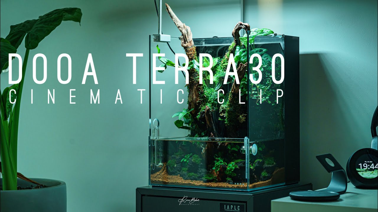 DOOA Terra 30 Cinematic