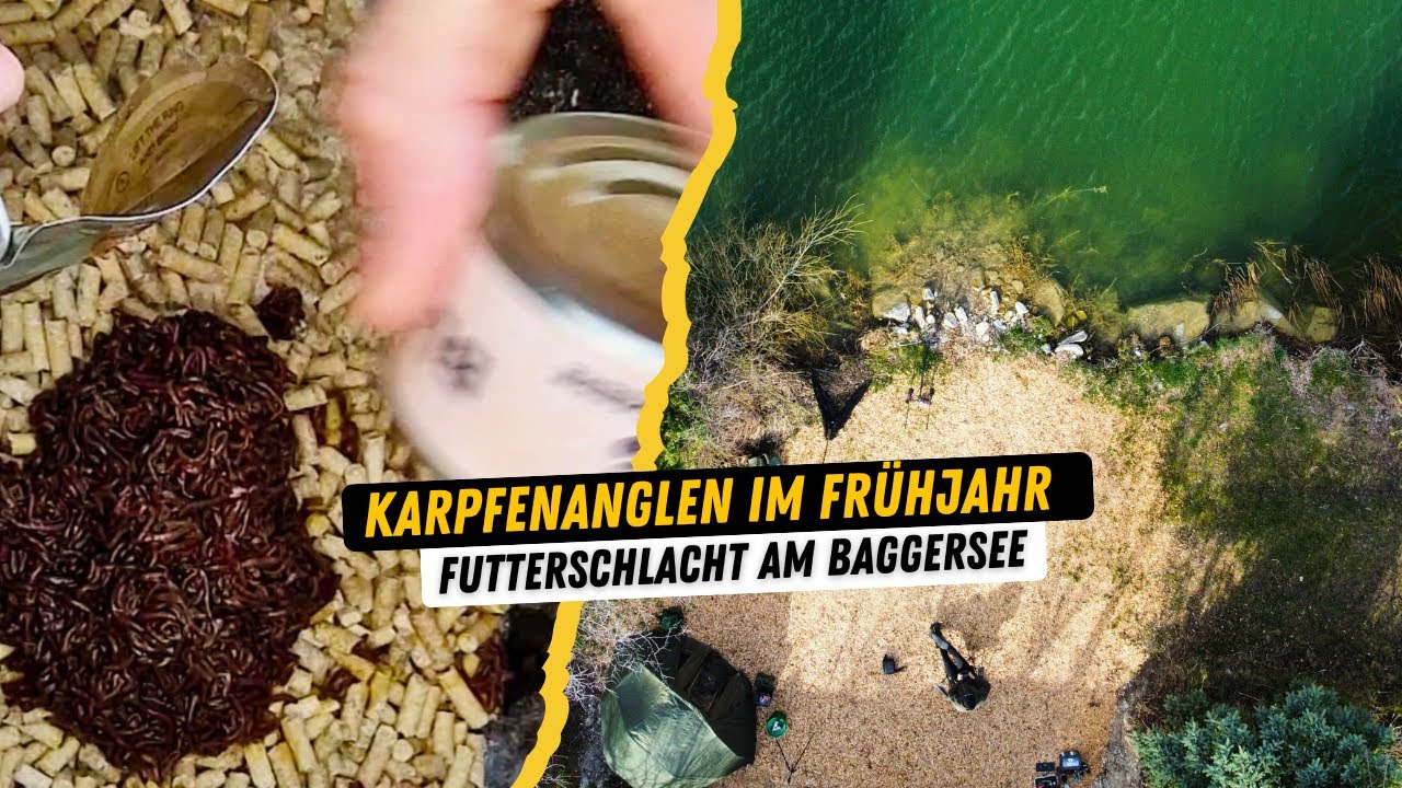 Karpfenangeln im Frühjahr am Baggersee I Futterschlacht am Bigfish Pool I