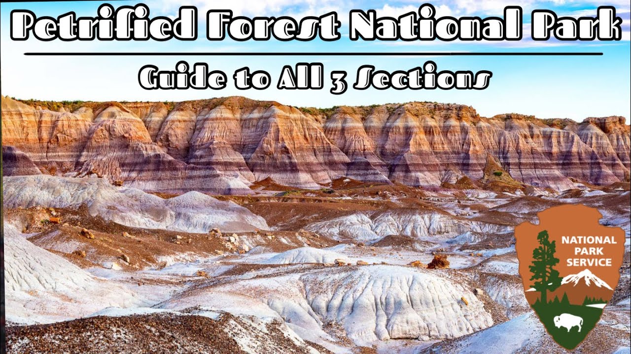 ULTIMATE GUIDE to Petrified Forest - The ONLY National Park w/ Petrified Wood | Arizona, USA (2023)