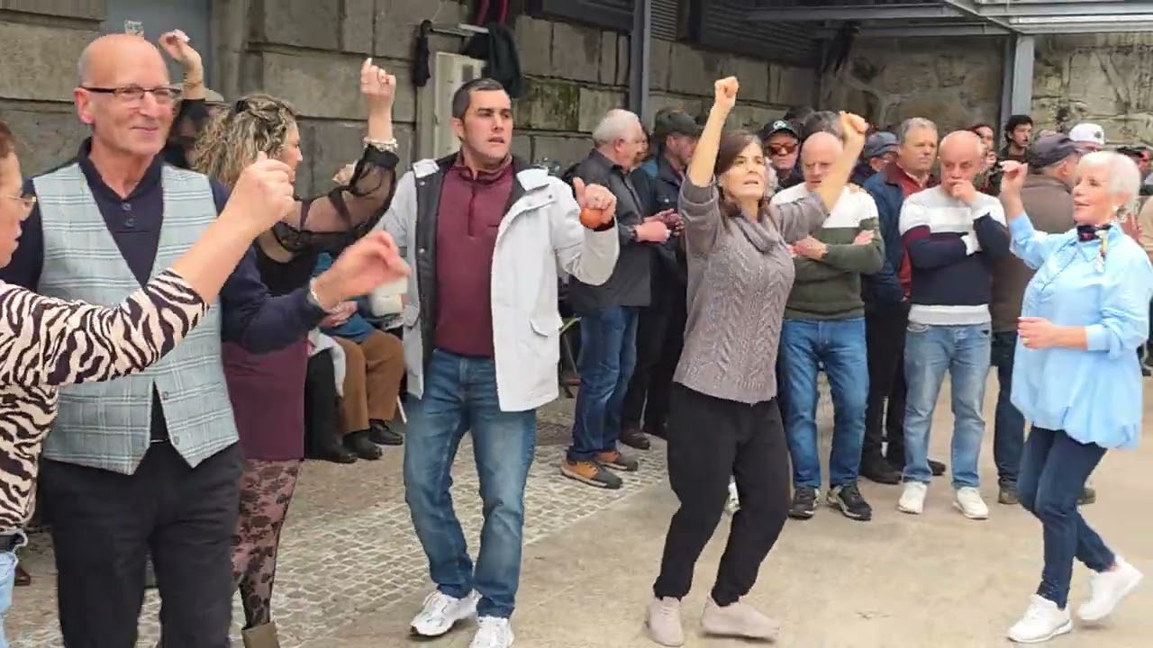 Domingo de tarde | Arcos de Valdevez |25|1|2026