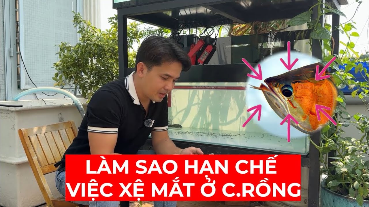 Hạn chế XỆ MẮT ở C.Á RỒNG chưa bao giờ dễ đến thế trong video này