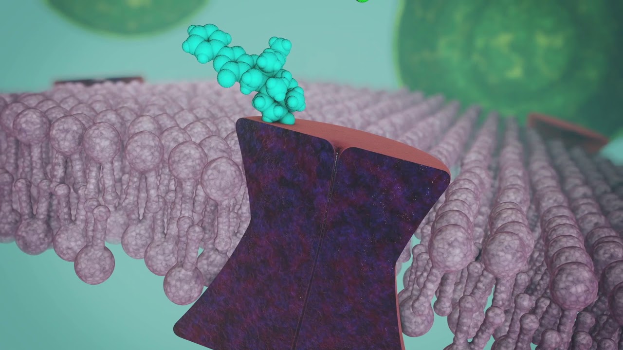 Versys&reg; Insecticide &ndash; How it works