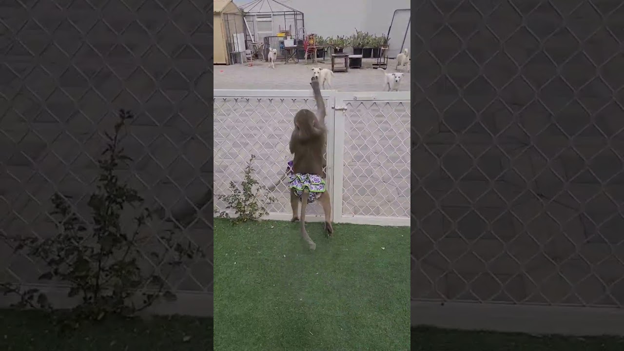 Нет бассейна,  нет настроения!🤣