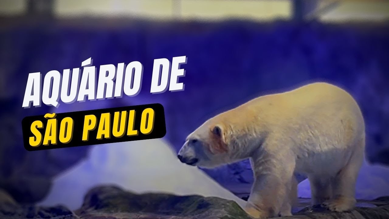 AQUÁRIO DE SÃO PAULO | Nova visita e novos animais | Tour completo
