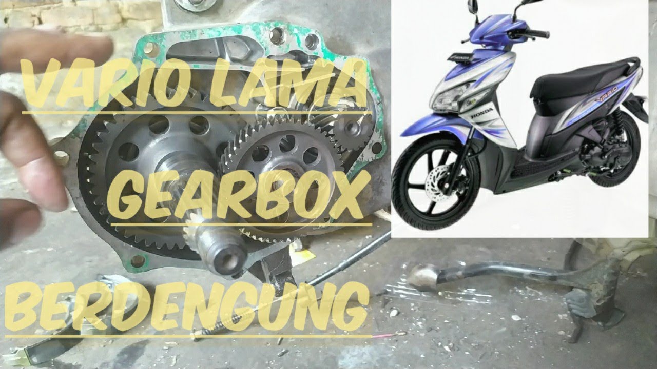 penyakit vario 110 lama berdengung