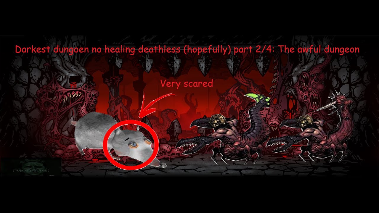 Darkest Dungeon No Healing Deathless BM run! (Part 2/4)