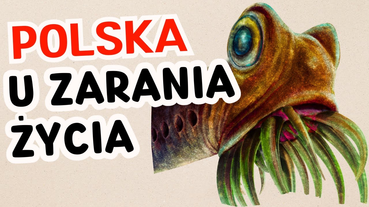 Polska przed milionami lat