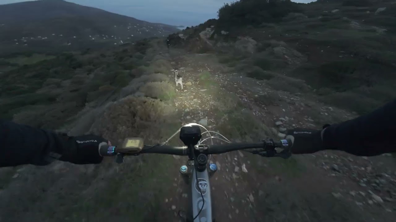 DJI 20260123174256 0004 D