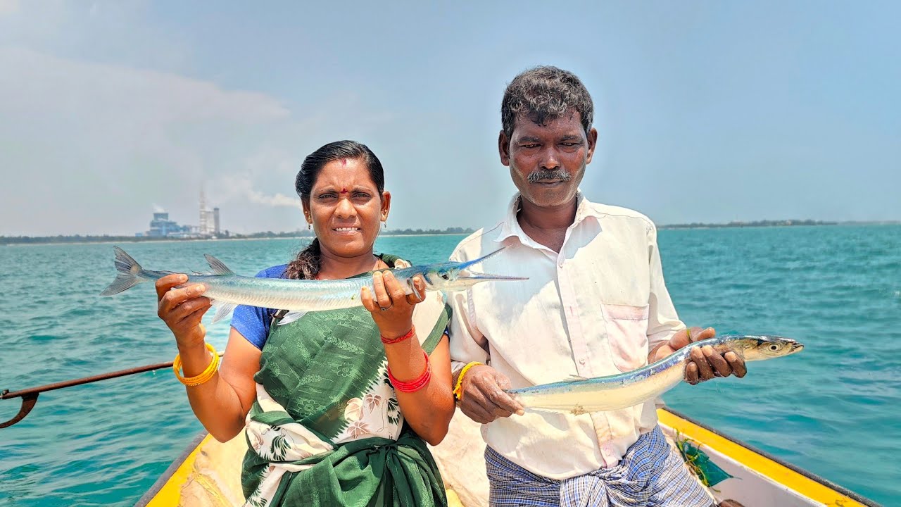 செமையான முரல் மீன் வேட்டை இன்னைக்கு