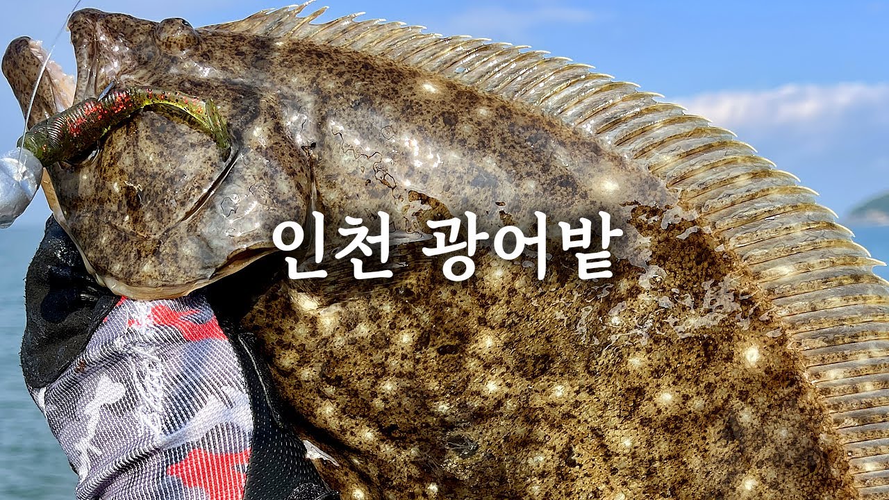 인천 광어밭은 여기