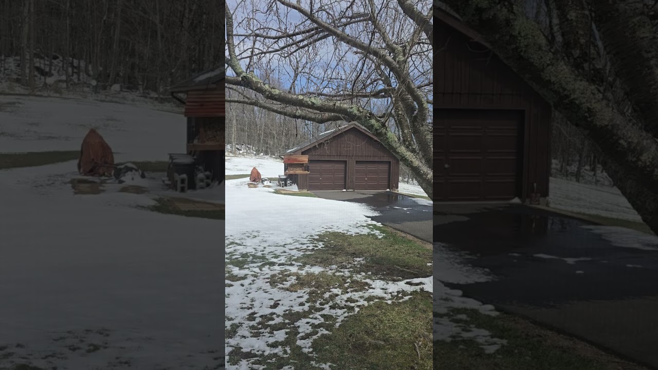 Day 77 Reading the Bible in a year