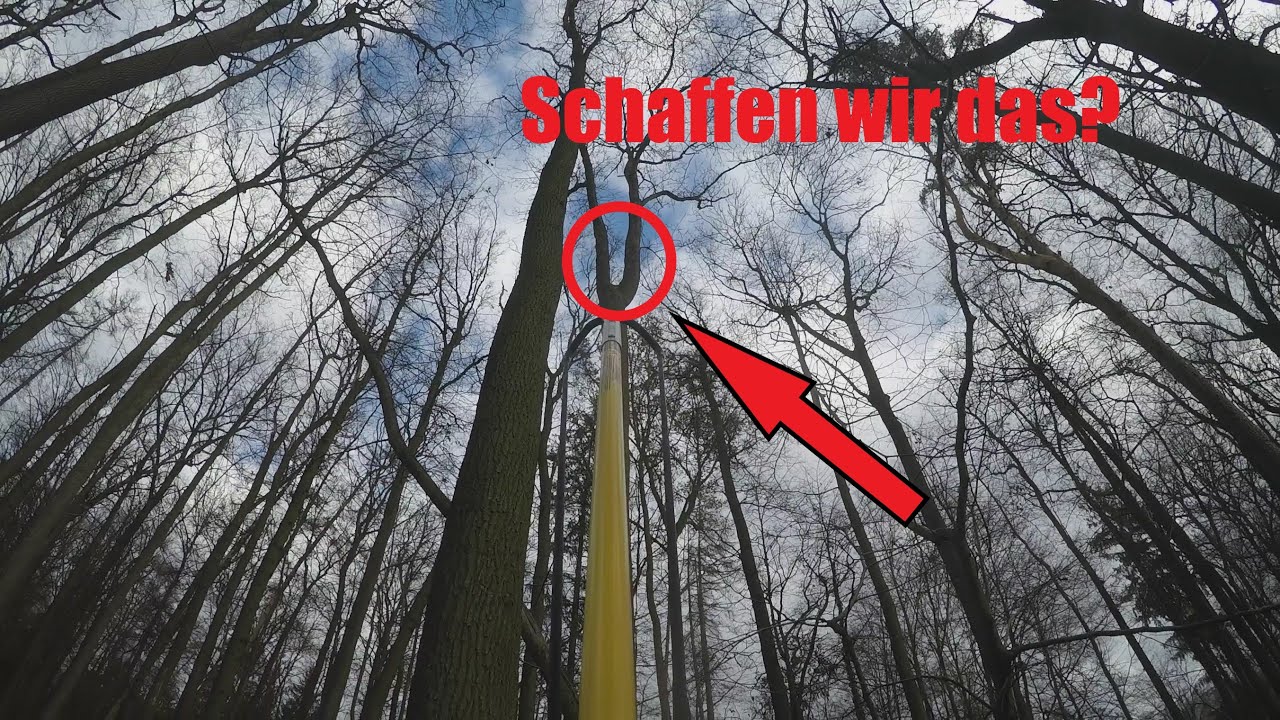 T5 Geocaching Klettern | Kleine Baumrunde