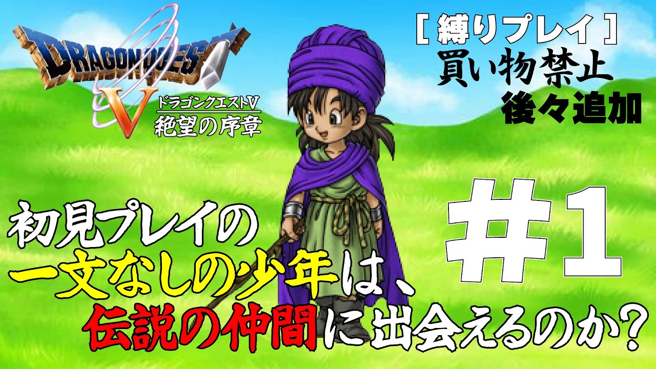 【縛りプレイ】一文なしの少年は、伝説の仲間に出会えるのか？ #1【ドラゴンクエストV】
