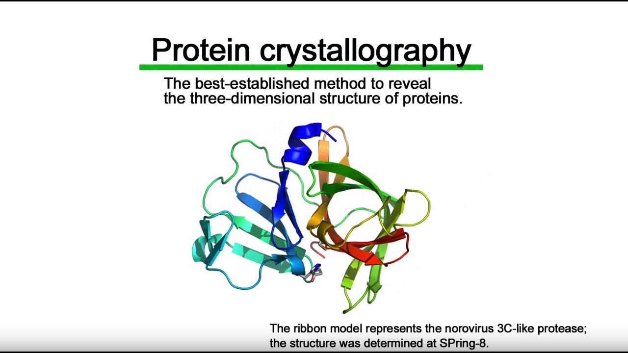 Protein crystallography