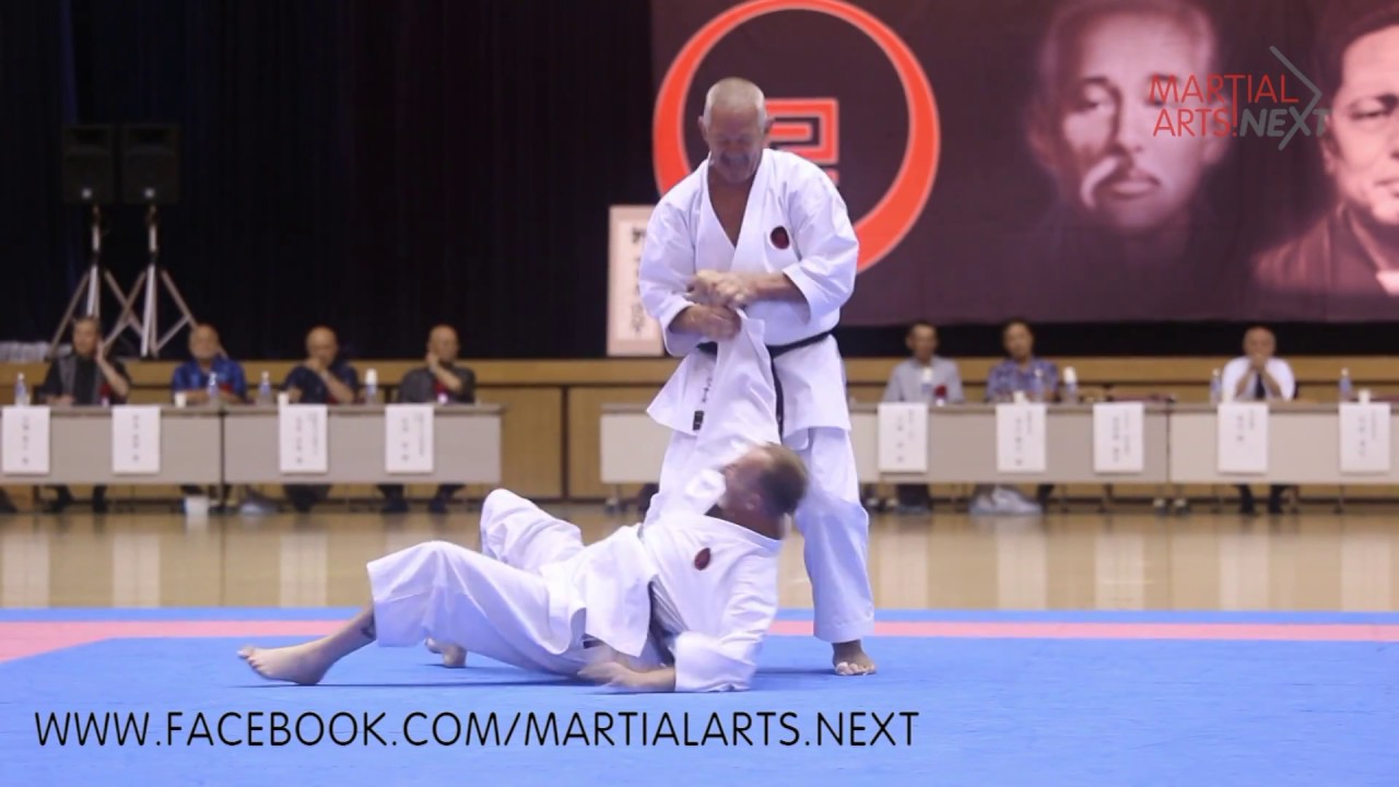 IOGKF World Budosai 2016.Video#12
