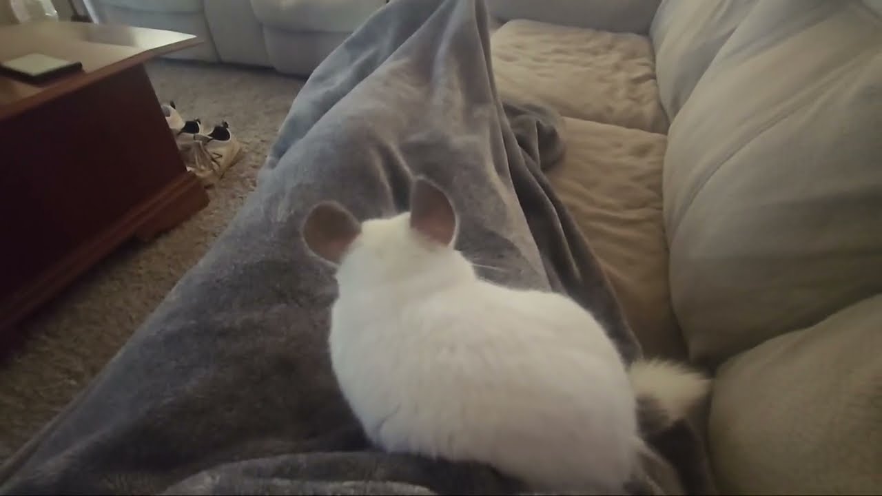 Couch Time with Charlotte
