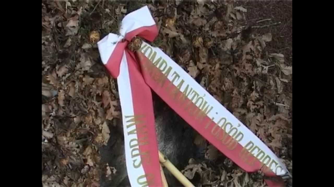 Piedimonte San Germano - szukanie ślad&oacute;w po polskich żołnierzach