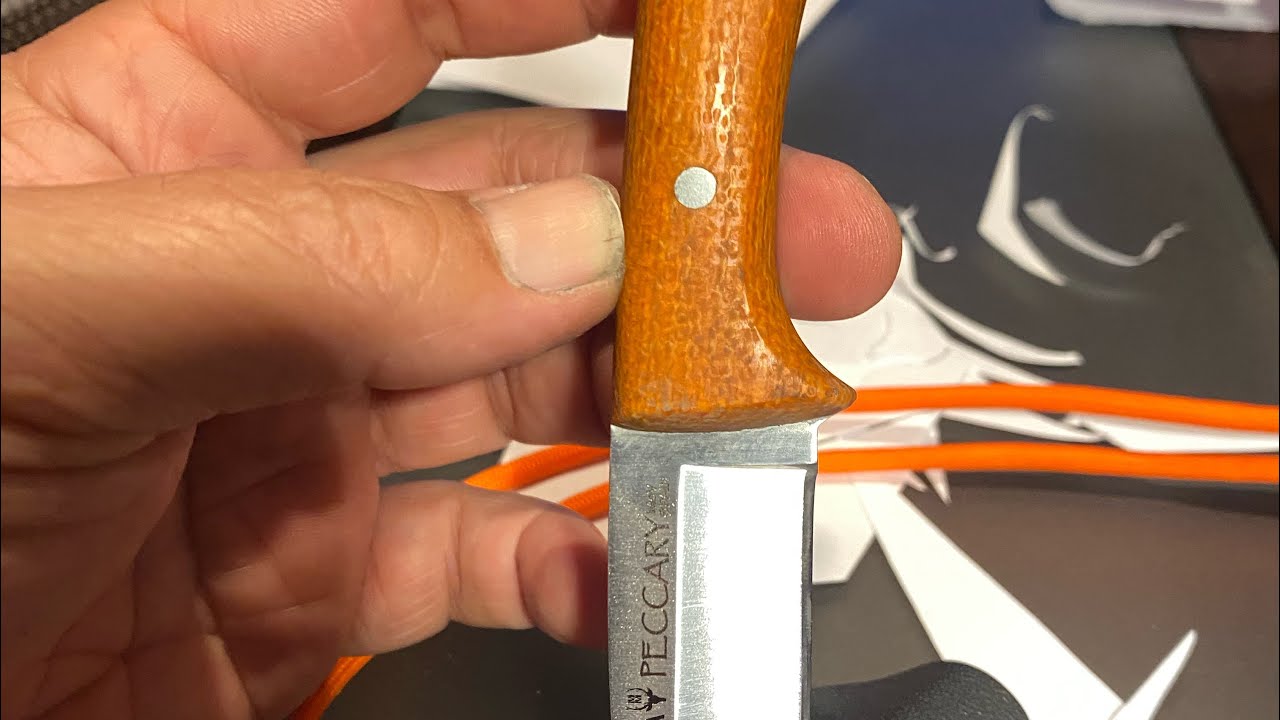 Afilado de un pequeño cuchillo muy interesante de Muela , el modelo Peccary 🔪👌💪