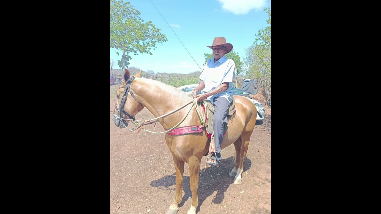 vaquejada Chico puca/autor Chico Alves,intérprete Raimundo viola...