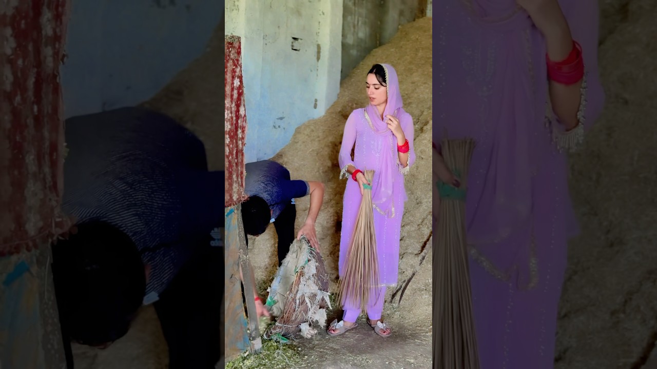 Lugai vs Bhains #shortsviral #marriedlife