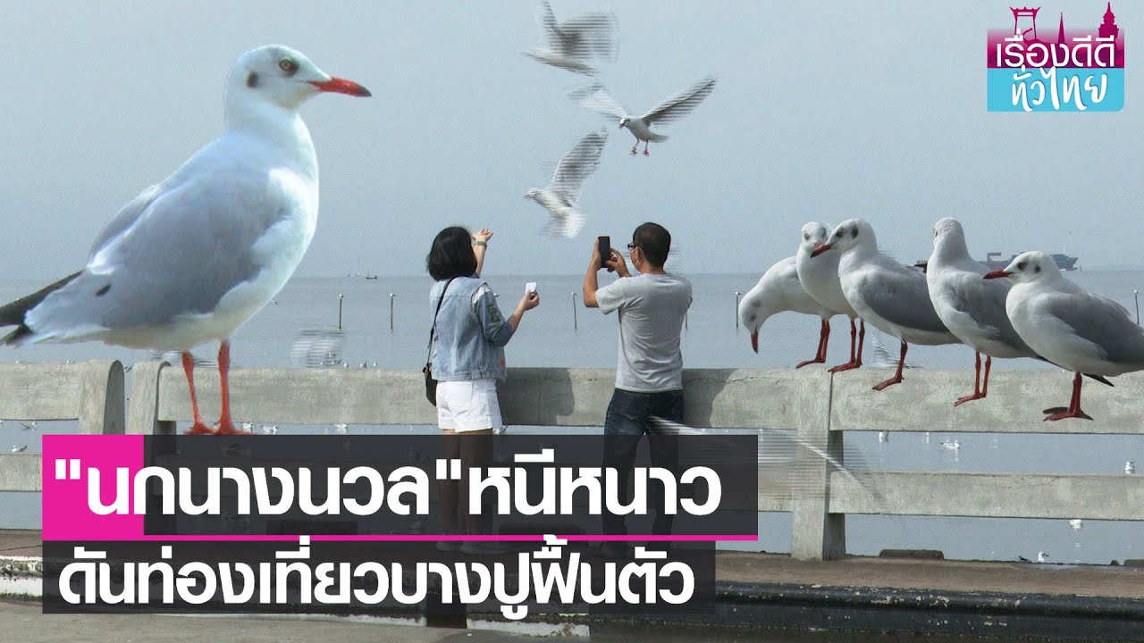 นนท.แห่ชม