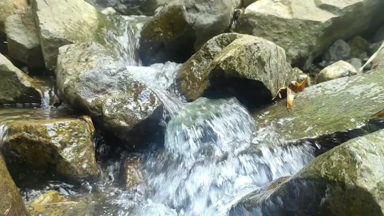 Relaxing music relieves stress, anxiety (running water, birdsong, music),meditation,relaxation, ASMR