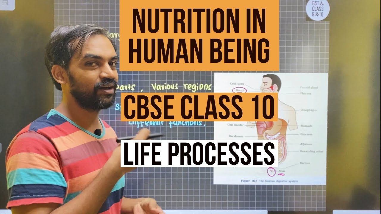 Life processes CBSE class 10 | Nutrition in Human Beings | Human digestive system