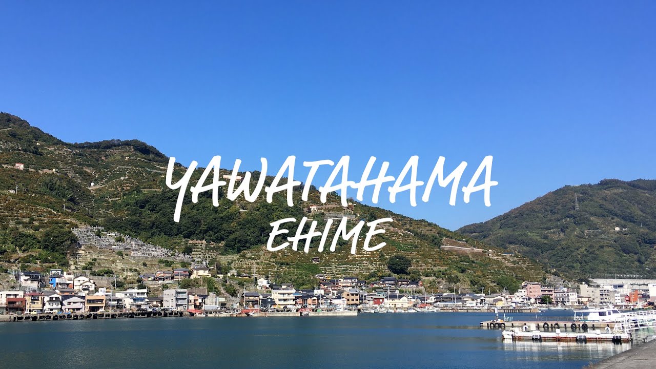 愛媛　みかんと魚の街、八幡浜　かわいい銭湯に泊まる＃八幡浜＃大正湯＃愛媛