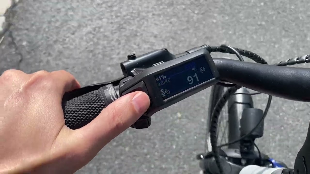 Bosch Purion 200