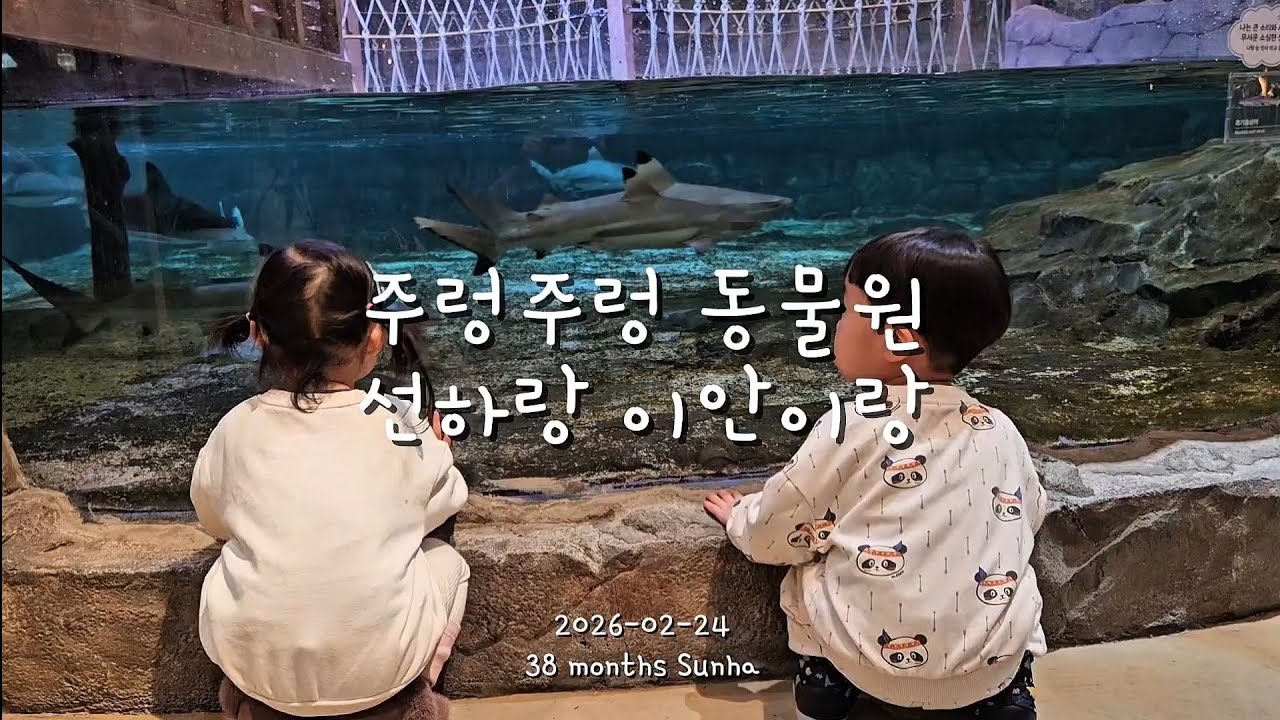 어린이집 단짝 친구와 동물원🐬 | 주렁주렁 동탄