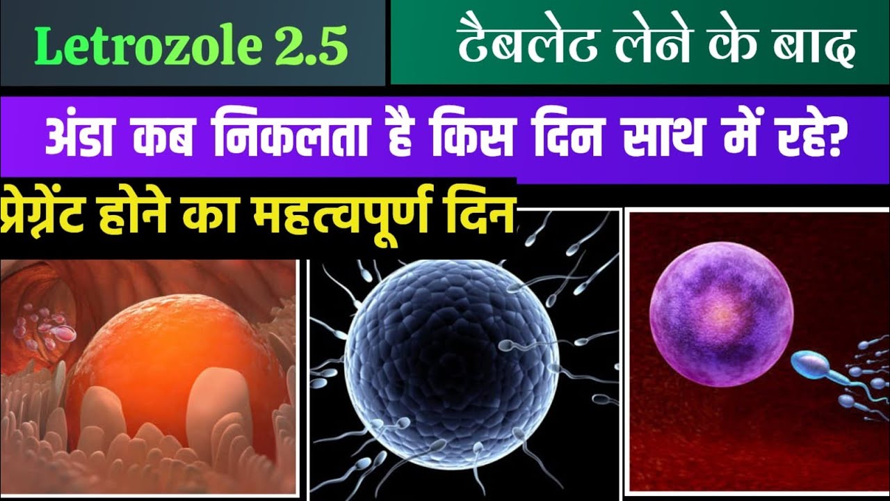 😭Letrozole🛑use karne ke bad Ovulation kab hota he.Letrozole टेबलेट खाने के कितने दिन बाद संबंध बनाएं