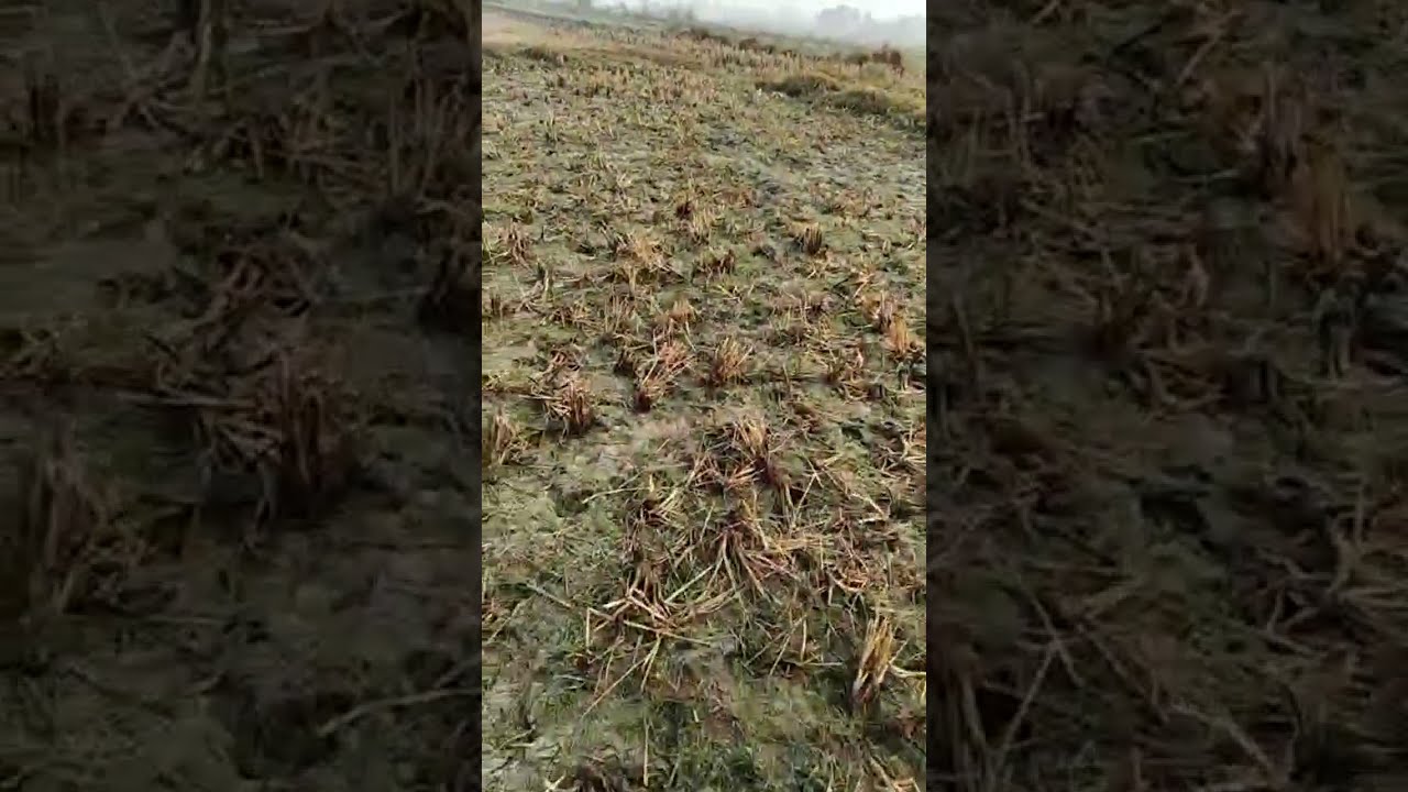চা খেতে খেতে আড্ডা দিতে চলে আসো বন্ধুরা তাড়াতাড়ি 💕😘 🙏🍵🍵☕☕
