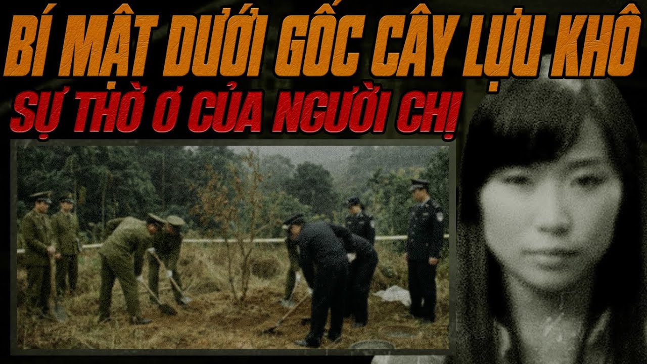 Kỳ Án Trung Quốc: Vì Sao Cây Lựu Xanh Tốt Lại Héo Khô Giữa Rừng Già?