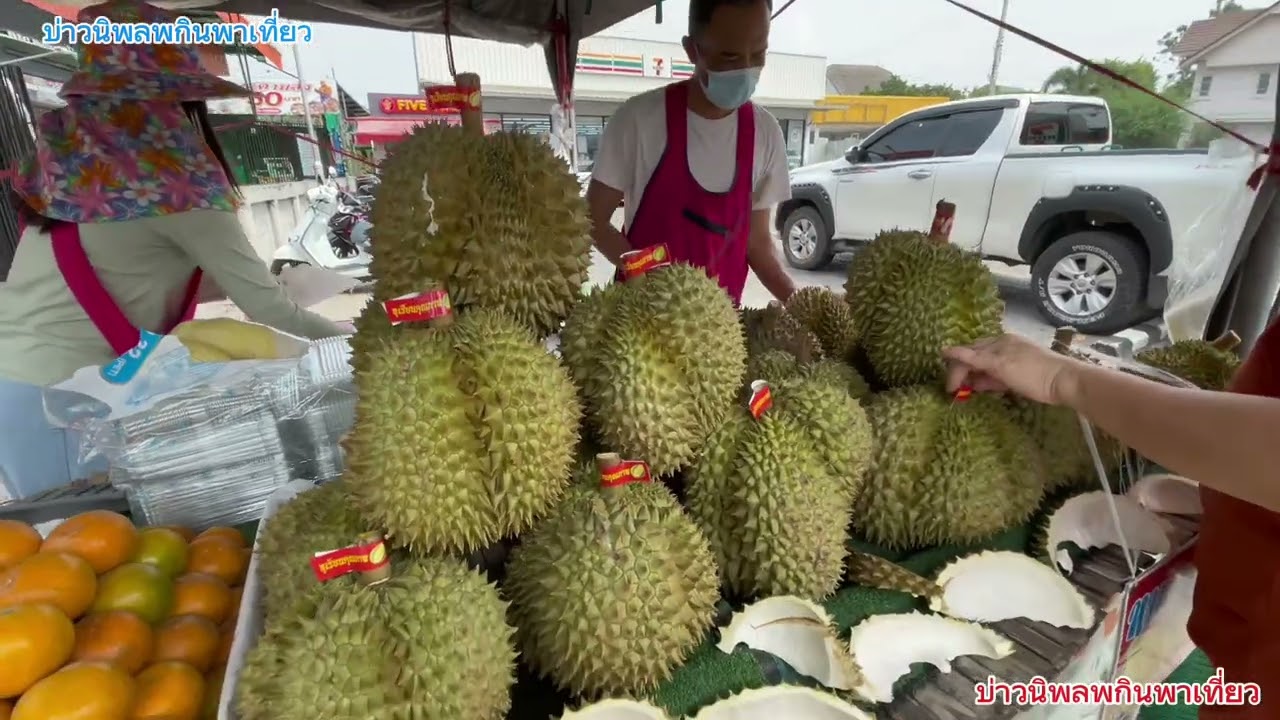 อัพเดทใหม่ล่าสุด…ปี 68 ทุเรียนหมอนทอง ร้านน้องป๊อบ ทุเรียนวินเทจ #บ่าวนิพลพากินพาเที่ยว #thailand