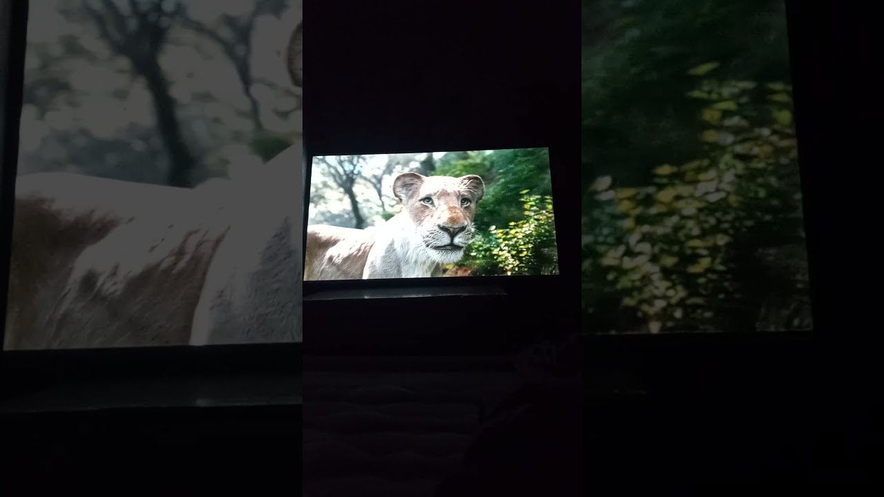 Mufasa: The Lion King Nala Pregnancy scene🦁