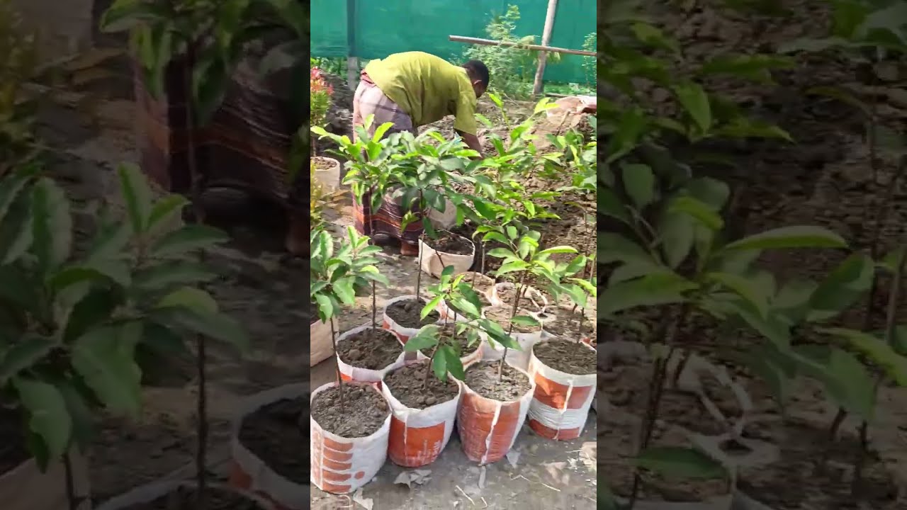 Get an exclusive look inside BRAC Nursery Paity Bottola in this video tour