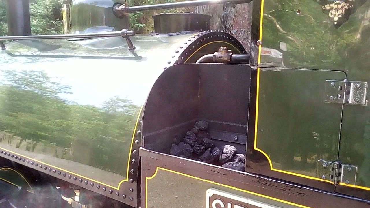 Sir Haydn running round at Nant Gwernol