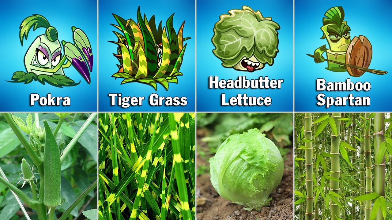 Plants Vs Zombies 2 Plants In Real Life!